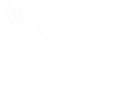 Snow particle 2